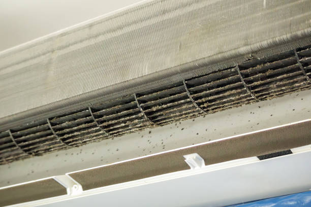 Best Affordable Duct Cleaning Services  in Washington, IA